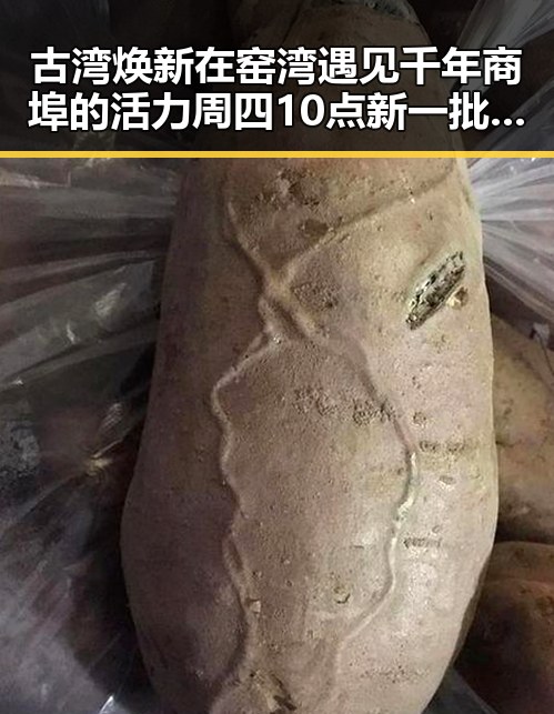 古湾焕新在窑湾遇见千年商埠的活力周四10点新一批消费券来袭