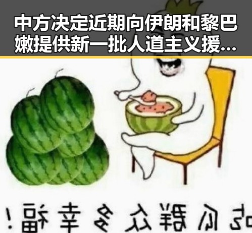 中方决定近期向伊朗和黎巴嫩提供新一批人道主义援助应对河南等地强降雨影响