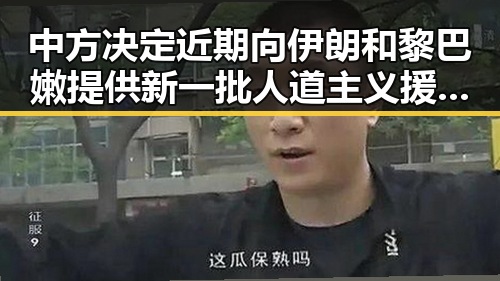中方决定近期向伊朗和黎巴嫩提供新一批人道主义援助应对河南等地强降雨影响