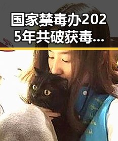 国家禁毒办2025年共破获毒品犯罪案件2.7万起与卫生健康委严格管理麻醉药品的反差行动