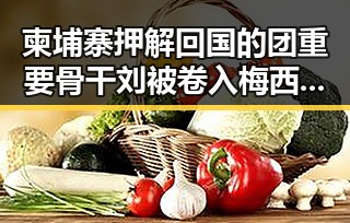 柬埔寨押解回国的团重要骨干刘被卷入梅西踩小腿事件引发众议
