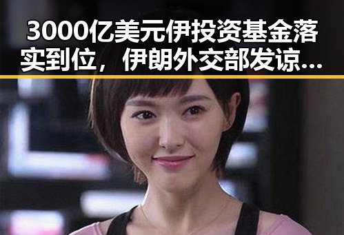 3000亿美元伊投资基金落实到位，伊朗外交部发谅解备忘录促合作升级