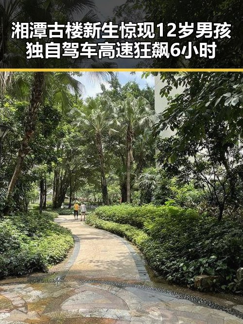 湘潭古楼新生惊现12岁男孩独自驾车高速狂飙6小时