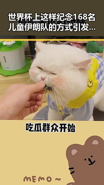 世界杯上这样纪念168名儿童伊朗队的方式引发购物节热潮的关注